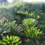 Bed and breakfast Damecuta 3*