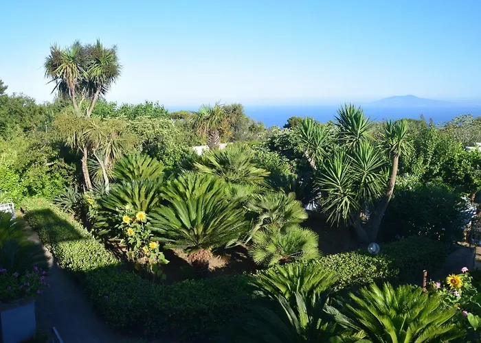 Damecuta Anacapri (Isola di Capri)