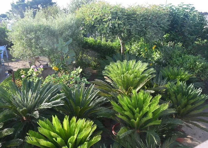 Bed & Breakfast Damecuta 3*