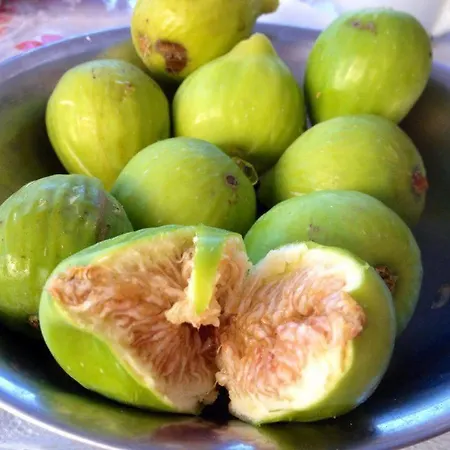 Bed & Breakfast Damecuta