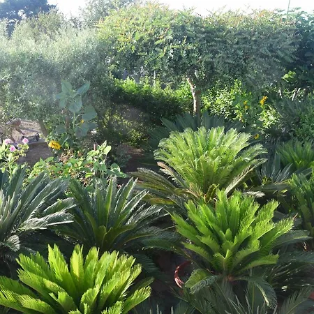 Couette-café Damecuta 3*