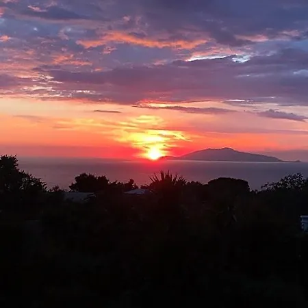 Oda ve Kahvaltı Damecuta Anacapri (Isola di Capri)