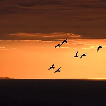 Oda ve Kahvaltı Damecuta 3*