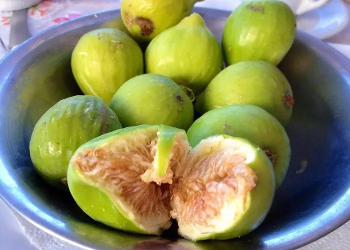 Alojamento de Acomodação e Pequeno-almoço Damecuta